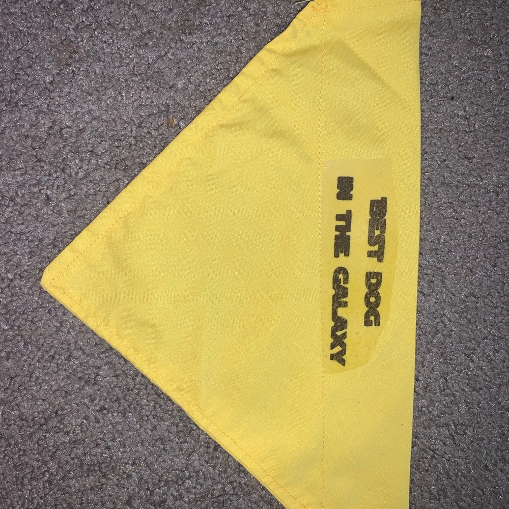 Over the collar bandana